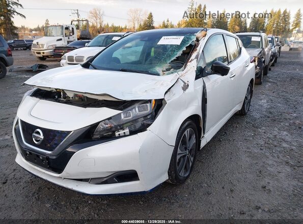 1N4BZ1DP8LC310465 2020 NISSAN LEAF Белый Вид спереди