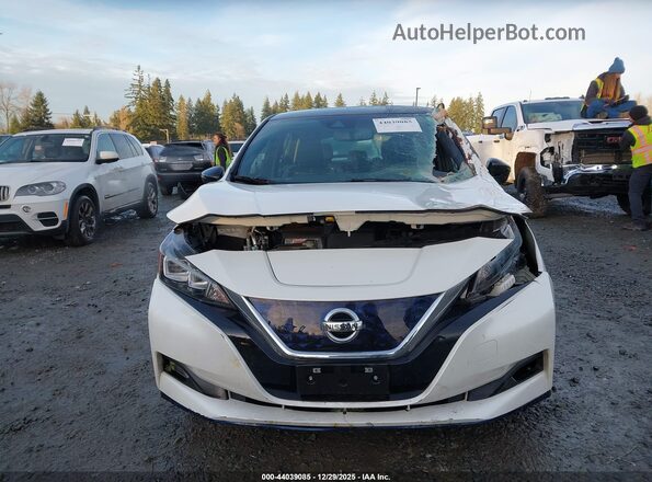 1N4BZ1DP8LC310465 2020 NISSAN LEAF Белый Вид щитка приборов