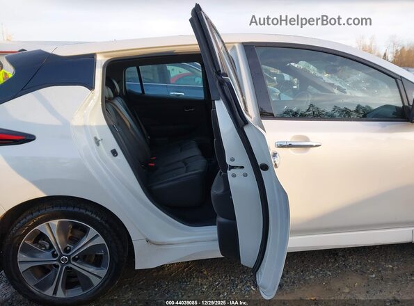 1N4BZ1DP8LC310465 2020 NISSAN LEAF Белый Вид наклейки с VIN-кодом