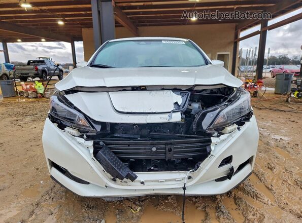 1N4CZ1CV4PC555502 2023 NISSAN LEAF White Widok z przodu