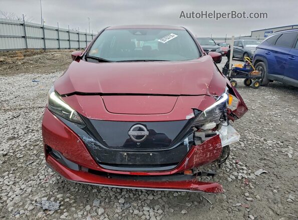 1N4CZ1CV7RC553665 2024 NISSAN LEAF Темно-бордовый Вид спереди