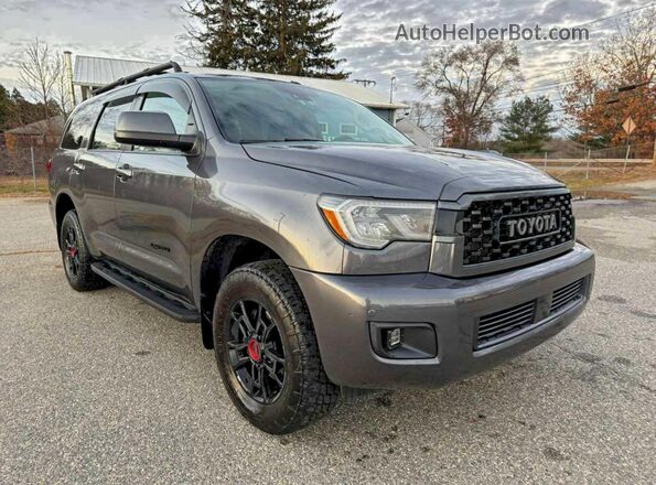 5TDEY5B10MS182254 2021 TOYOTA SEQUOIA Серый Задняя левая четверть