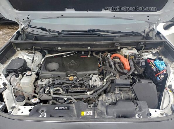 4T3E6RFV7MU039729 2021 TOYOTA RAV4 Белый Вид наклейки с VIN-кодом