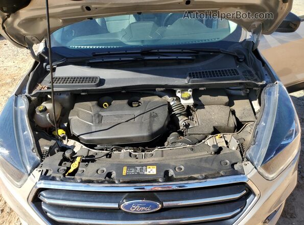 1FMCU9G99HUE04733 2017 FORD ESCAPE Золотой Вид наклейки с VIN-кодом