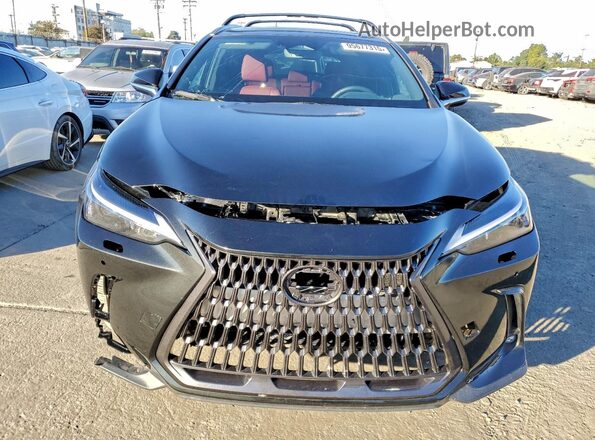2T2ADCAZXSC020817 2025 LEXUS NX Black Widok z tyłu