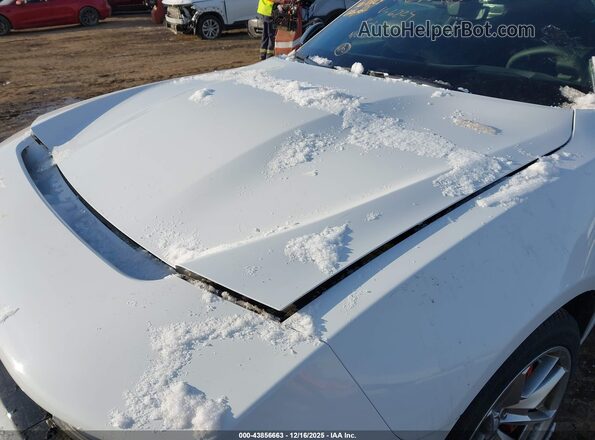2C3CDBDK9RR206224 2024 DODGE CHARGER Белый Вид сзади