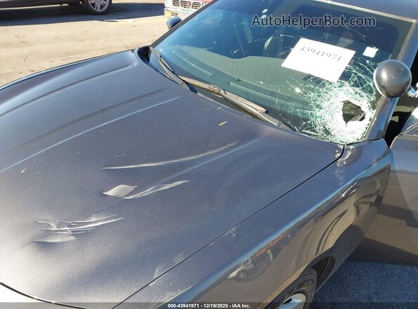 2C3CDXAT6PH588578 2023 DODGE CHARGER Gray Widok z przodu