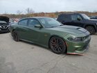 2019 Dodge Charger Scat Pack Green vin: 2C3CDXGJ5KH650423