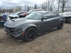 2022 Dodge Charger Scat Pack Gray vin: 2C3CDXGJ5NH190278