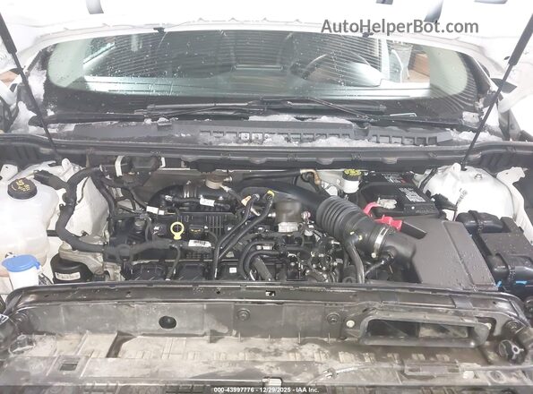 2FMPK4J95PBA56419 2023 FORD EDGE White Հետևի տեսք