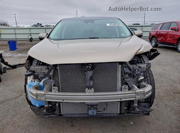 2FMPK4K96LBB11629 2020 FORD EDGE Золотой Вид спереди
