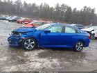 2020 Honda Civic Lx Синий vin: 2HGFC2F62LH558877