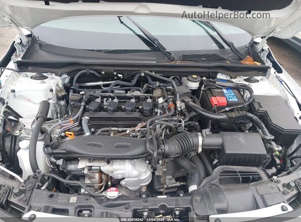 2HGFE1E5XRH473064 2024 HONDA CIVIC SI Белый Вид сзади