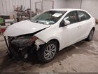2019 Toyota Corolla Le White vin: 2T1BURHE5KC189237
