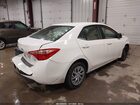 2019 Toyota Corolla Le White vin: 2T1BURHE5KC189237
