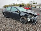 2017 Toyota Cor Black vin: 2T1BURHEXHC943452