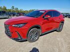 2024 Lexus Nx 250 Base Red vin: 2T2ADCAZ0RC007052