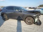 2025 Lexus Nx 250 Base Gray vin: 2T2ADCAZ5SC023012
