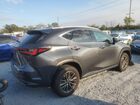2025 Lexus Nx 250 Base Gray vin: 2T2ADCAZ5SC023012