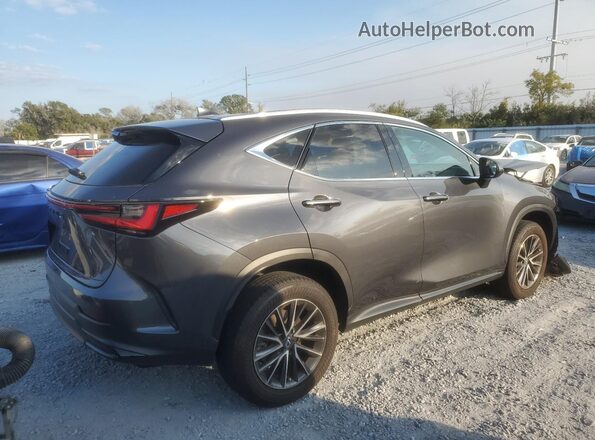 2T2ADCAZ5SC023012 2025 LEXUS NX Gray უკანა მარჯვენა