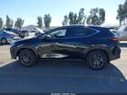 2025 Lexus Nx 250 Black vin: 2T2ADCAZ7SC016482