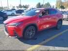 2024 Lexus Nx 250   Red vin: 2T2ADCAZ8RC012192