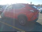 2024 Lexus Nx 250   Red vin: 2T2ADCAZ8RC012192