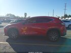 2024 Lexus Nx 250   Red vin: 2T2ADCAZ8RC012192