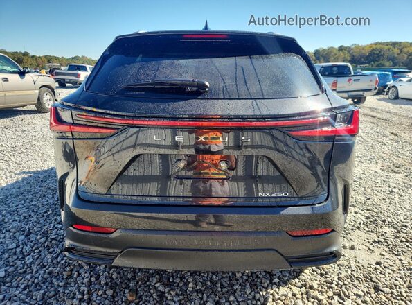 2T2ADCAZ8RC013195 2024 LEXUS NX Черный Вид сзади