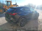 2024 Lexus Nx 250   Black vin: 2T2ADCEZ8RC005091