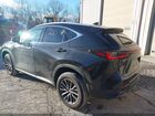 2024 Lexus Nx 250   Black vin: 2T2ADCEZ8RC005091
