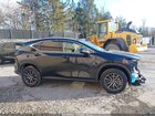 2024 Lexus Nx 250   Black vin: 2T2ADCEZ8RC005091