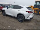 2025 Lexus Nx 350 White vin: 2T2AGCEZ3SC086448