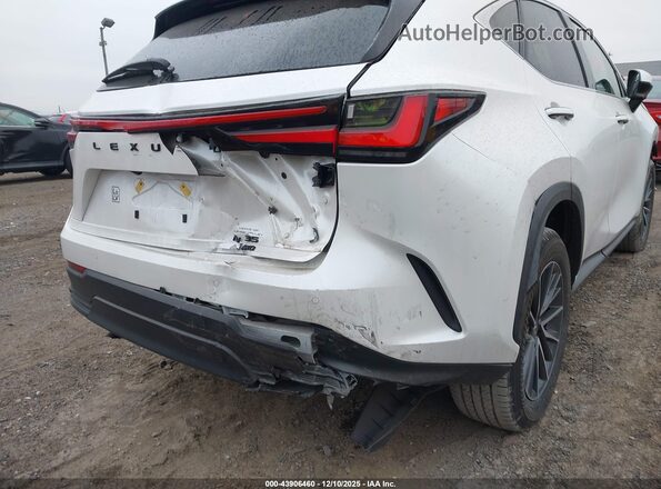 2T2AGCEZ3SC086448 2025 LEXUS NX 350 White 