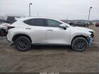 2025 Lexus Nx 350 White vin: 2T2AGCEZ3SC086448