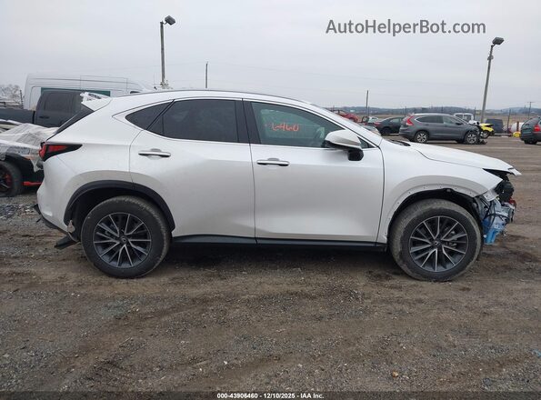 2T2AGCEZ3SC086448 2025 LEXUS NX 350 White Widok wnętrza z tyłu