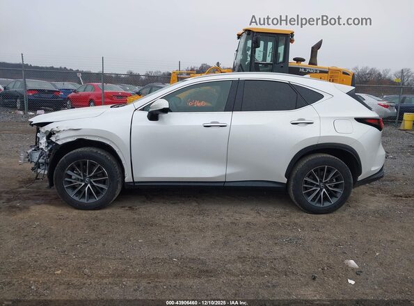2T2AGCEZ3SC086448 2025 LEXUS NX 350 White Widok wnętrza 360 stopni