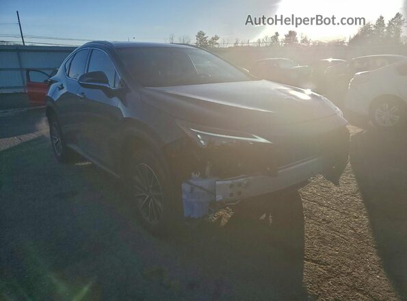 2T2AGCEZ4SC081601 2025 LEXUS NX Gray Przód prawy