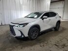 2024 Lexus Nx 350 Base White vin: 2T2AGCEZXRC034096