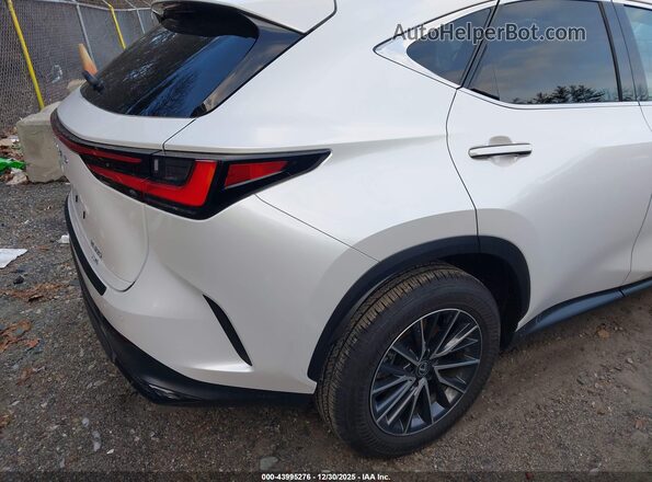 2T2AGCEZXSC084048 2025 LEXUS NX 350 White Հետևի աջ