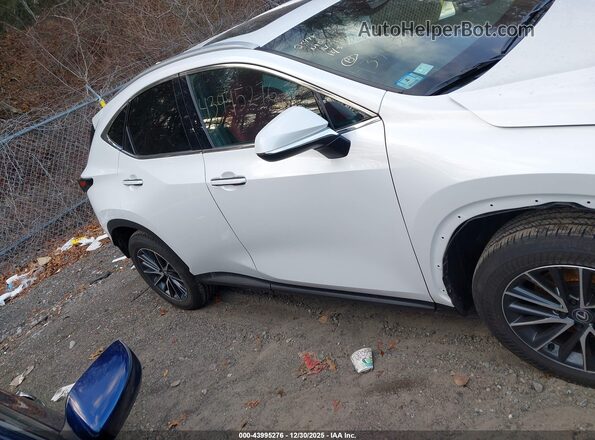 2T2AGCEZXSC084048 2025 LEXUS NX 350 White Սալոնի հետևի տեսք