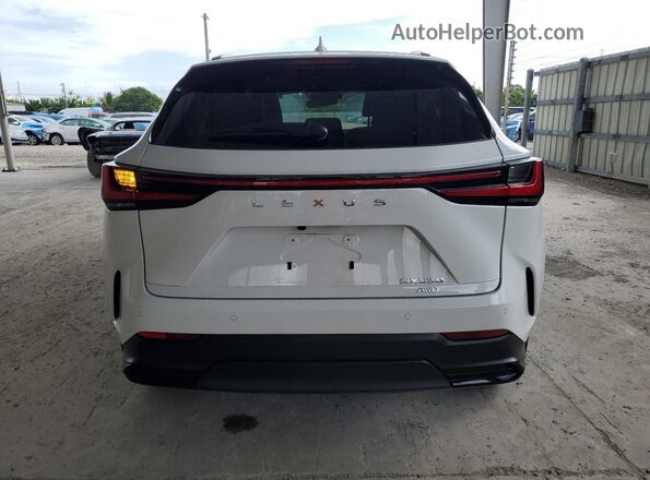 2T2AGCEZXTC094886 2026 LEXUS NX Белый Вид сзади