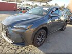 2024 Lexus Nx 350h   Gray vin: 2T2AKCEZ7RC024785