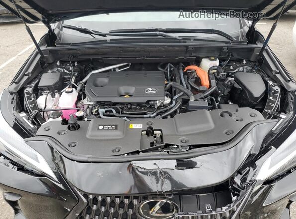 2T2AKCEZXTC060509 2026 LEXUS NX Black Rear interior view