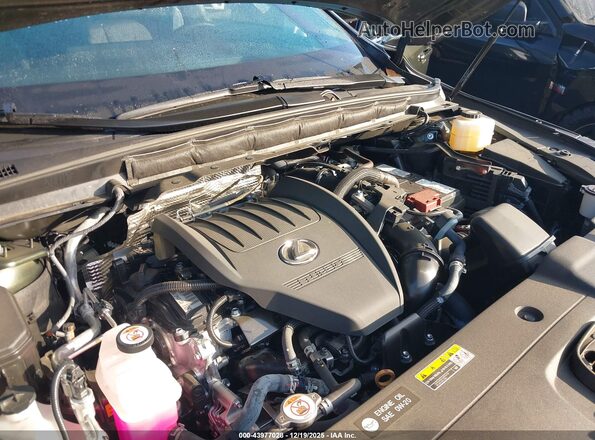 2T2BAMBA1SC052650 2025 LEXUS RX 350 Зеленый Вид сзади