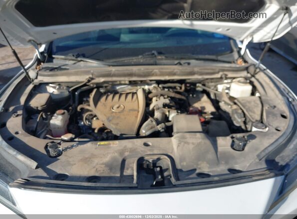 2T2BAMBA7PC016503 2023 LEXUS RX 350 White Հետևի տեսք
