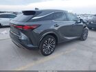 2025 Lexus Rx 350 Premium Plus Gray vin: 2T2BAMBA9SC062004