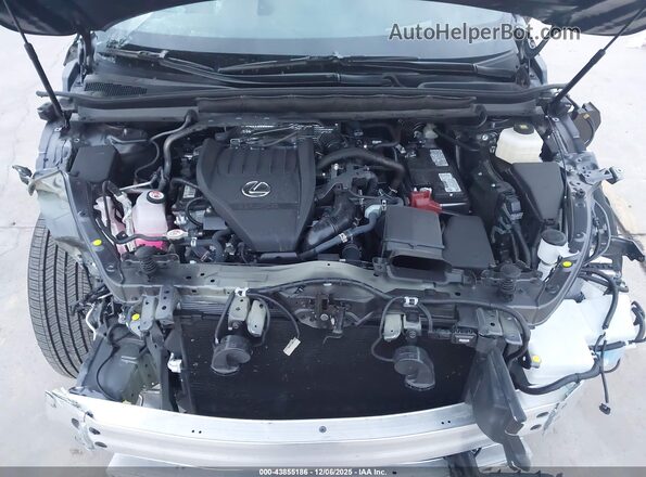 2T2BAMBA9SC062004 2025 LEXUS RX 350 Gray Rear view