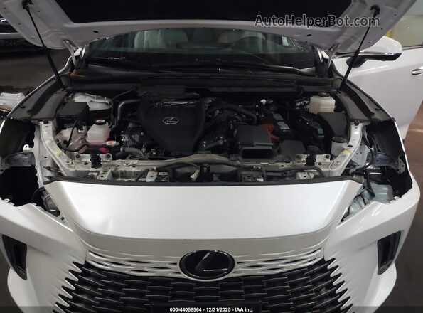 2T2BAMBAXPC016351 2023 LEXUS RX 350 Champagne Rear view