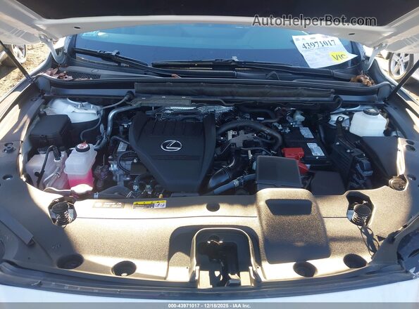 2T2BAMCA0RC079718 2024 LEXUS RX 350 Белый Вид сзади
